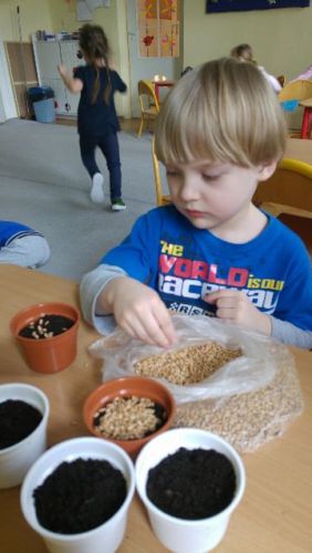 30740461_1637291742991259_2911189413742510080_n (1).jpg