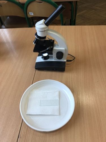 zajęcia adaptacyjne007.jpg