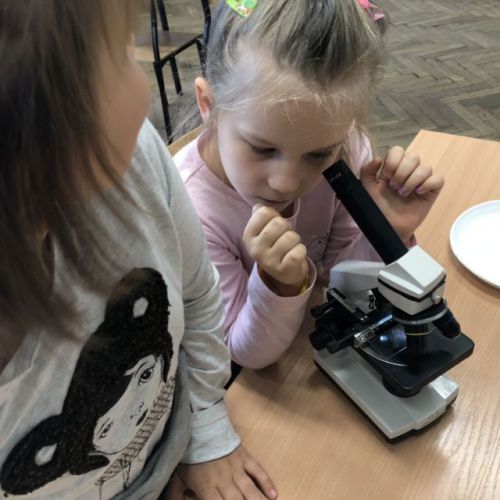 zajęcia adaptacyjne010.jpg