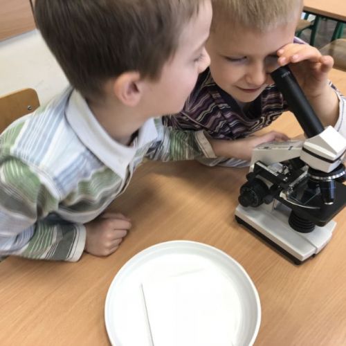 zajęcia adaptacyjne012.jpg