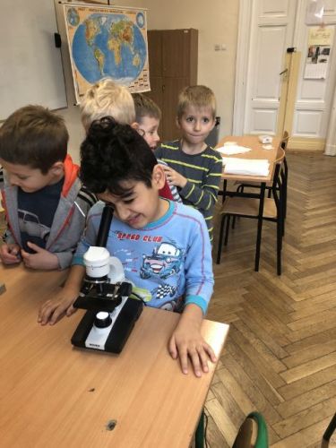 zajęcia adaptacyjne021.jpg