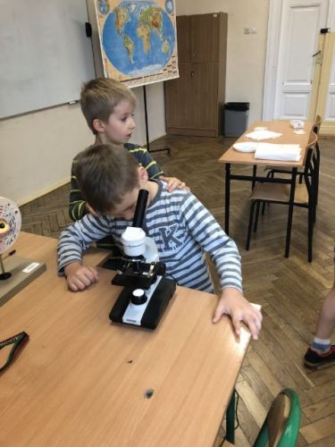 zajęcia adaptacyjne023.jpg