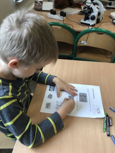 zajęcia adaptacyjne027.jpg