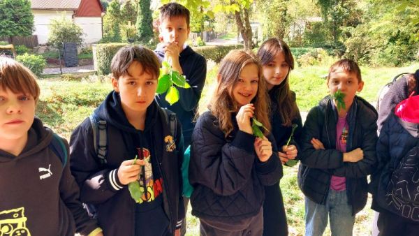 20261006_111022.jpg