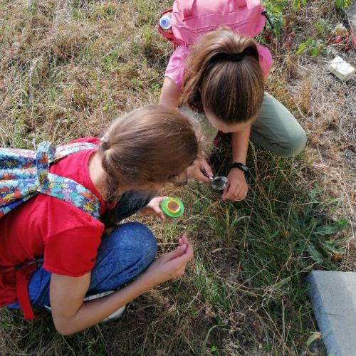 na st szkoly lekcja w terenie (4).jpg